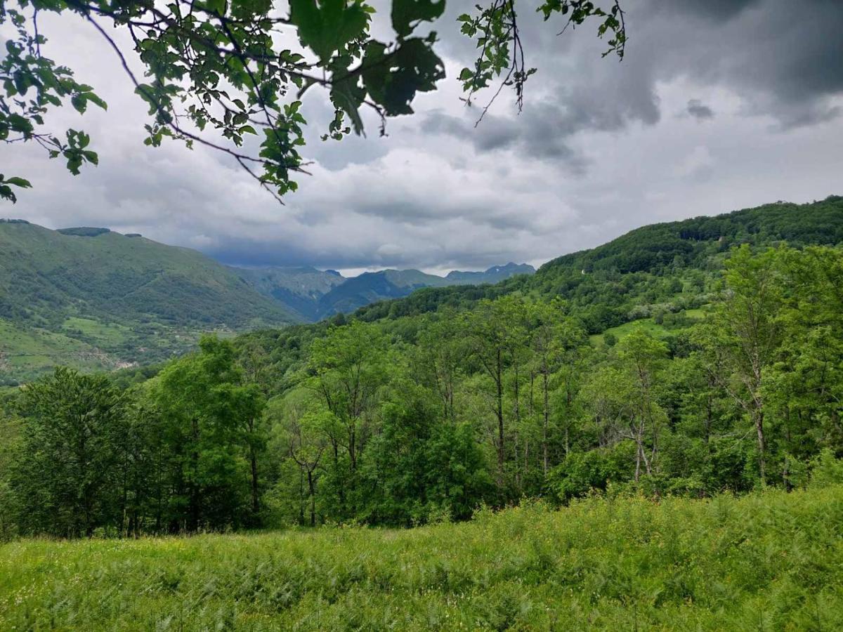 Vila Etno Selo -Sapat- Savnik Exteriér fotografie