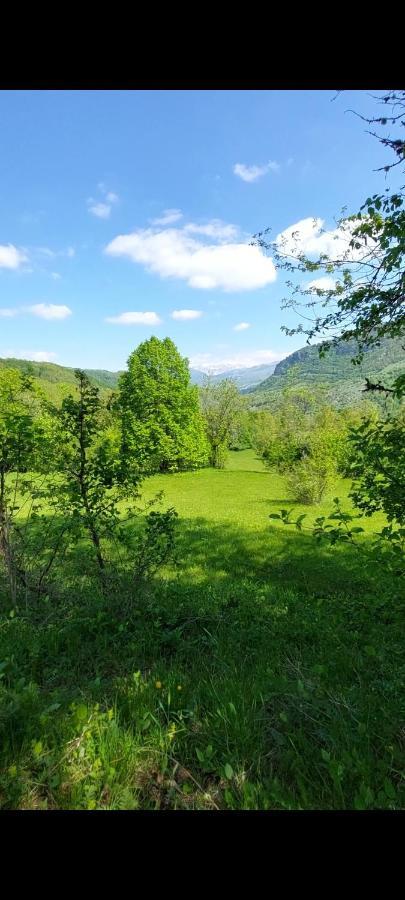 Vila Etno Selo -Sapat- Savnik Exteriér fotografie
