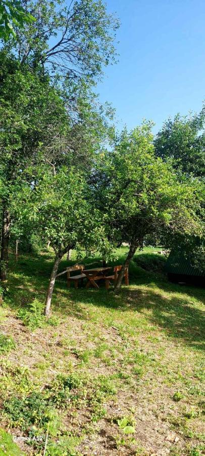 Vila Etno Selo -Sapat- Savnik Exteriér fotografie
